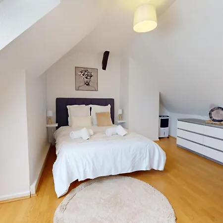 Triplex Le Bel âtre Appartement Sélestat